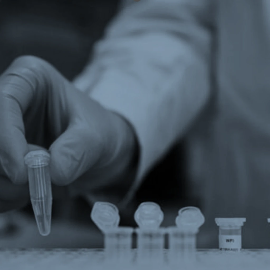 Lassa Vaccine Clinical Trial Capacity